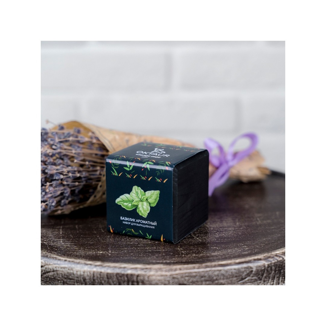 Набор для выращивания "Small village cube "Базилик ароматный"