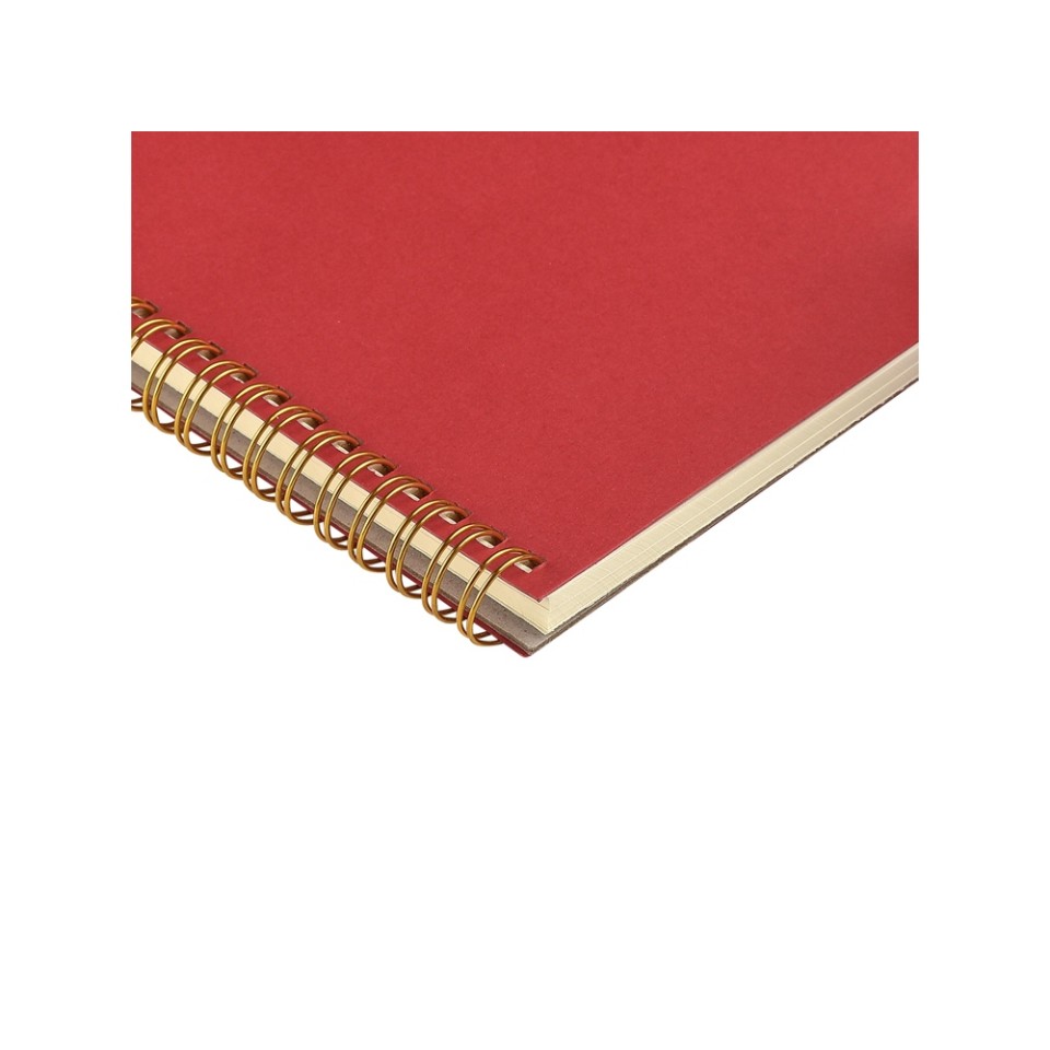 Бизнес тетрадь на гребне А5 "Pragmatic", 60 листов в клетку, красный