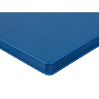 Ежедневник А5 датированный "Megapolis Nappa" на 2026, синий