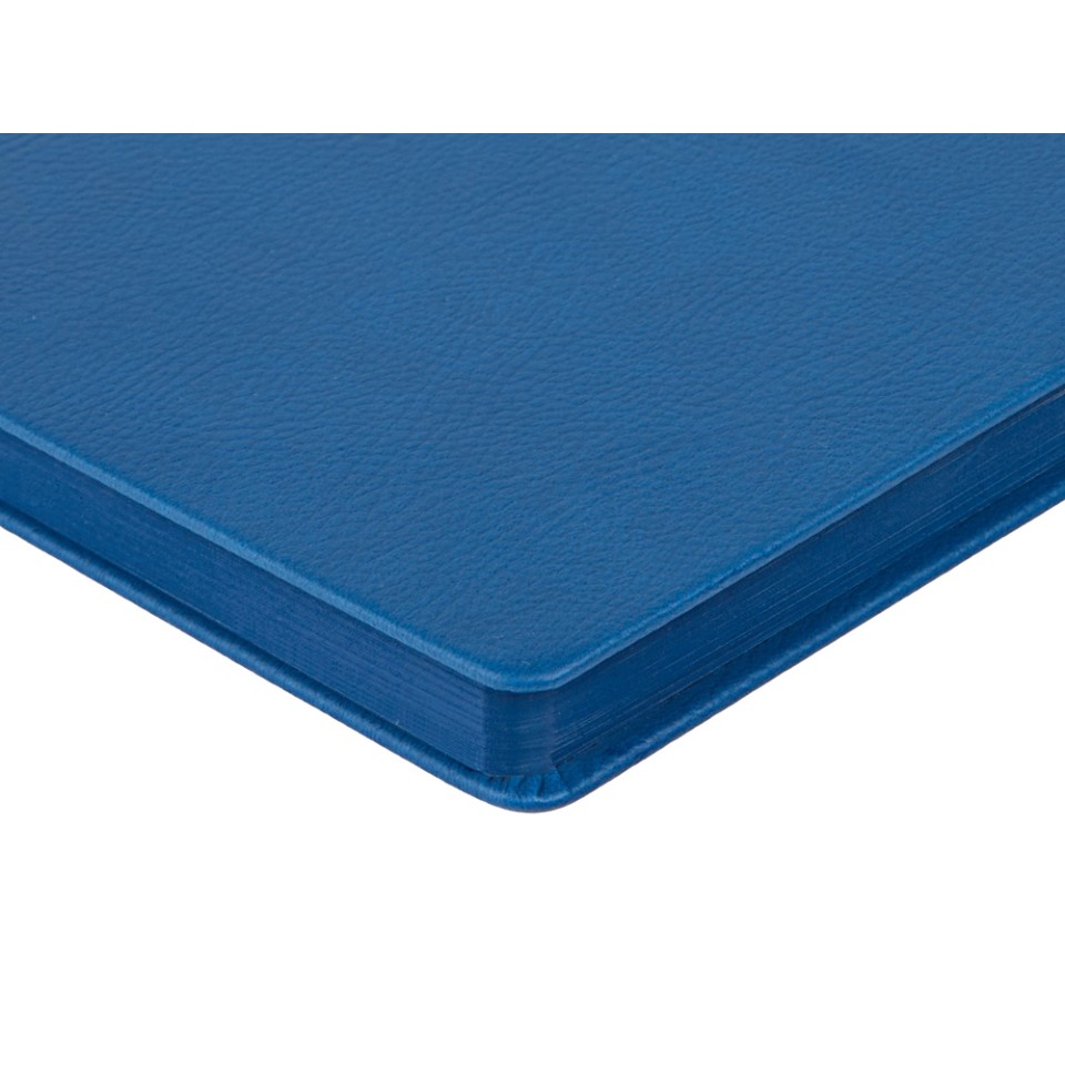 Ежедневник А5 датированный "Megapolis Nappa" на 2026, синий