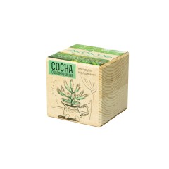 Набор для выращивания "Экокуб Classic "Сосна обыкновенная"