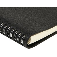 Ежедневник недатированный А5 "Alba", черный