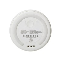 Блендер пластиковый "Smoothie" (Р)