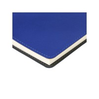 Ежедневник А5 "Tintoretto", синий