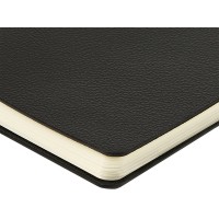 Ежедневник недатированный А5 "Alba", черный