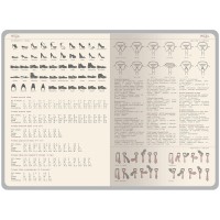 Ежедневник недатированный А5 "Bosforo", синий