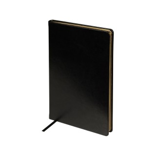 Ежедневник недатированный А5 "Megapolis Nebraska", черный с золотым обрезом