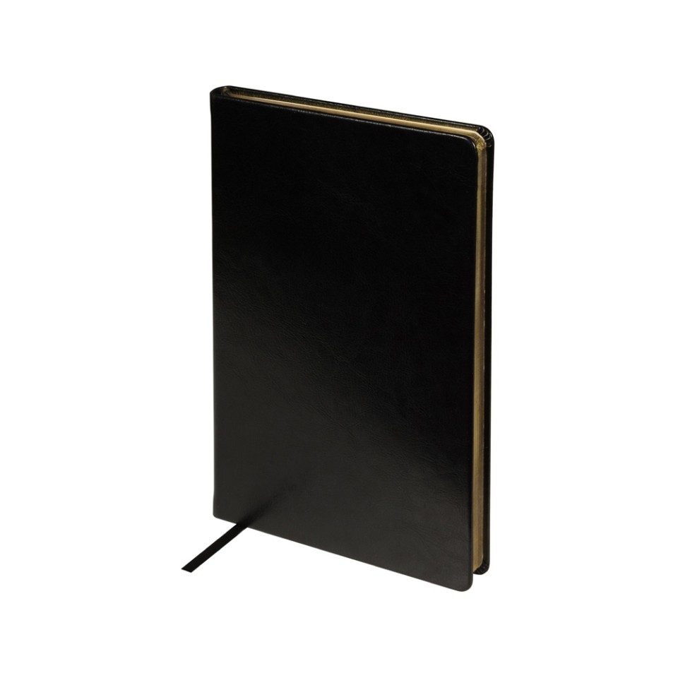 Ежедневник недатированный А5 "Megapolis Nebraska", черный с золотым обрезом