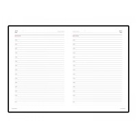 Ежедневник недатированный А5 "CAIMAN", коричневый