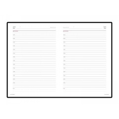 Ежедневник недатированный А5 "CAIMAN", коричневый