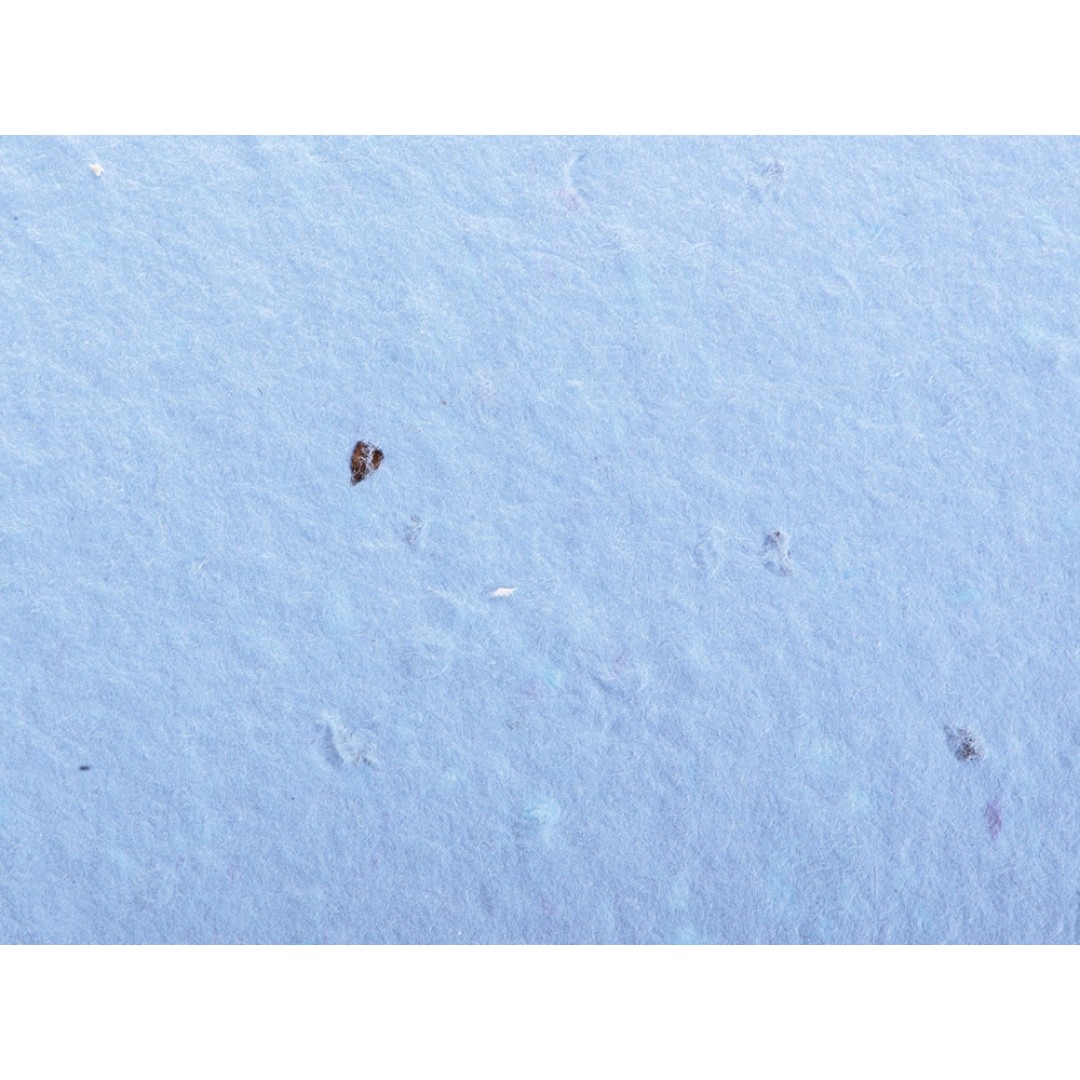 Живой блокнот с семенами цветов, А6, синий