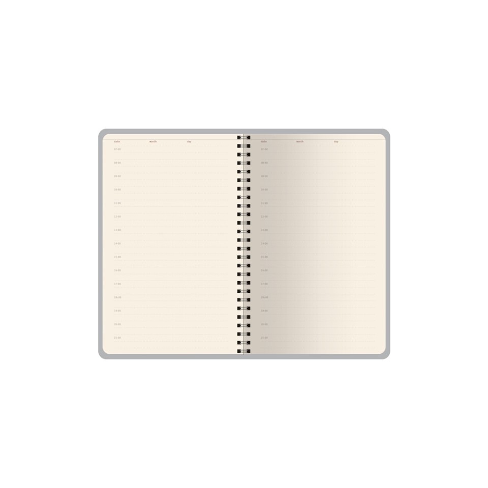 Ежедневник недатированный А5 "Alba", серый