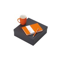 Подарочный набор с блокнотом С3, металлической ручкой и кружкой, оранжевый