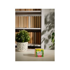 Набор для выращивания "Экокуб Magicme "Мята"