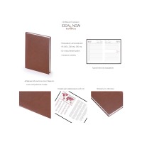 Ежедневник датированный А5 «Ideal New» 2026, бордовый