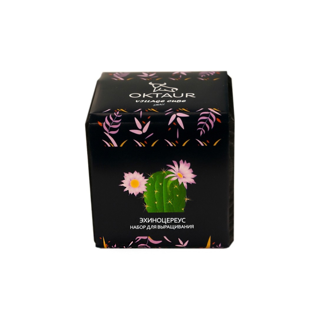 Набор для выращивания "Small village cube "Эхиноцереус"