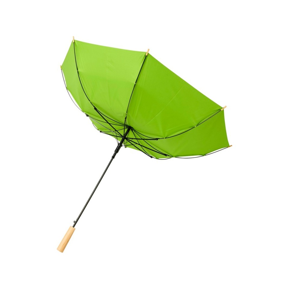 23-дюймовый автоматический зонт Alina из переработанного ПЭТ-пластика, лайм