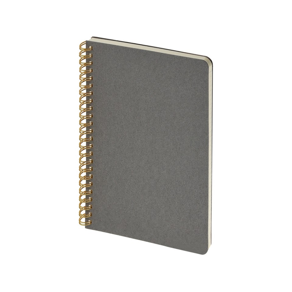 Бизнес тетрадь на гребне А5 "Pragmatic", 60 листов в клетку, серый