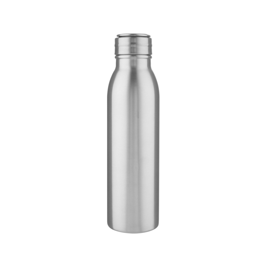 Harper, спортивная бутылка из нержавеющей стали объемом 700 мл с металлической петлей, серебристый