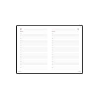 Ежедневник недатированный А5 "Sidney Nebraska", серебристый (серебряный обрез)