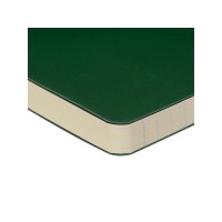 Ежедневник недатированный B5 "Megapolis Flex" (зеленый)