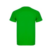 Спортивная футболка "Montecarlo" мужская, папоротниковый