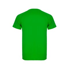 Спортивная футболка "Montecarlo" мужская, папоротниковый