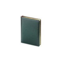 Ежедневник недатированный А6+ "Sidney Nebraska", зеленый (золотой обрез)