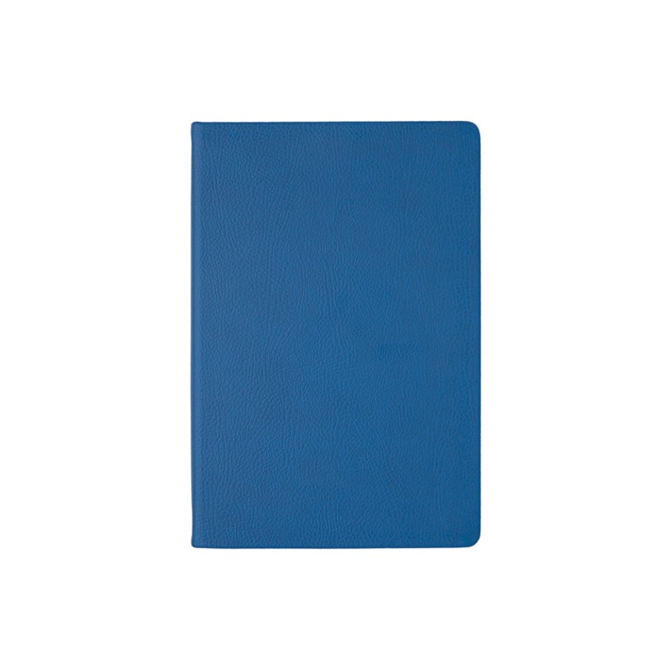 Ежедневник А5 датированный "Megapolis Nappa" на 2026, синий