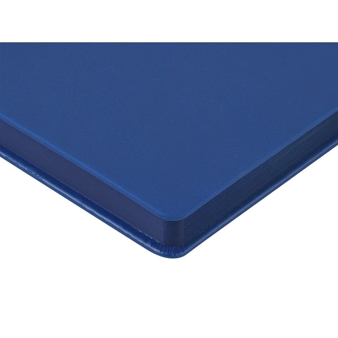 Ежедневник недатированный А6+ "Megapolis Color", синий