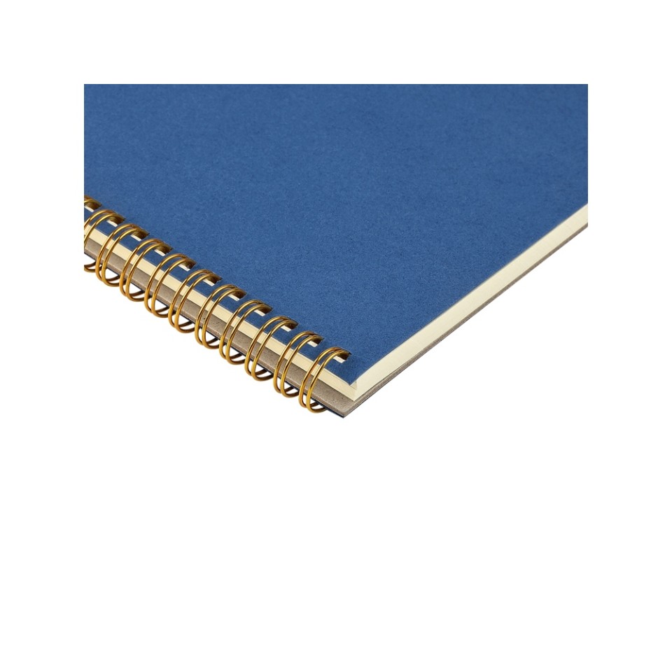 Бизнес тетрадь на гребне А5 "Pragmatic", 60 листов в клетку, синий