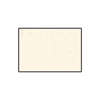 Еженедельник недатированный А4 «Profy», синий