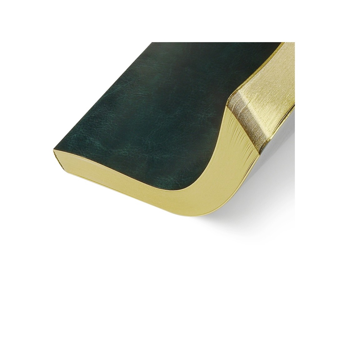 Ежедневник недатированный А5 "Megapolis Nebraska Flex", зеленый с золотым обрезом