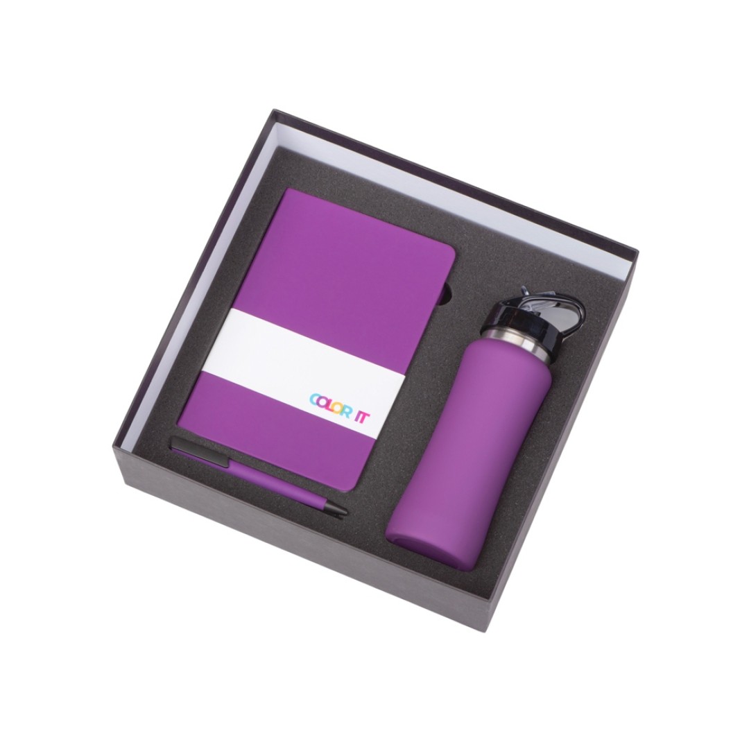 Подарочный набор c блокнотом C1, ручкой и бутылкой, фиолетовый