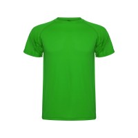 Спортивная футболка "Montecarlo" мужская, папоротниковый