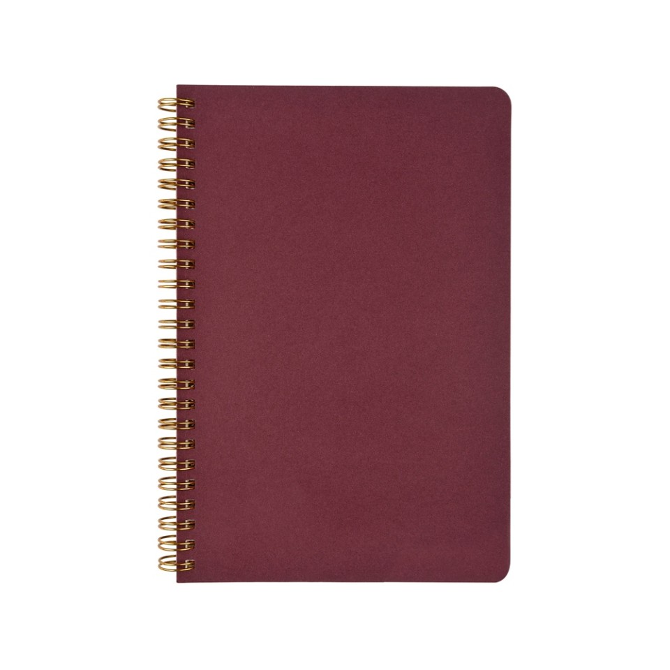 Бизнес тетрадь на гребне А5 "Pragmatic", 60 листов в клетку, бордовый