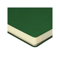 Ежедневник недатированный А5 "Megapolis flex smart", зеленый