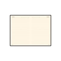 Ежедневник недатированный А5 «Megapolis», красный