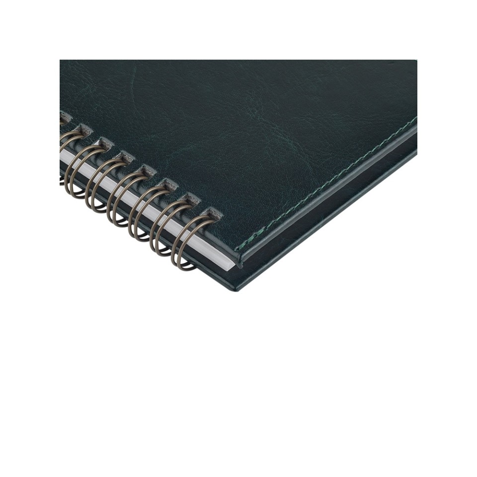 Планинг ГР. датированный «Sidney Nebraska» 2026, зеленый