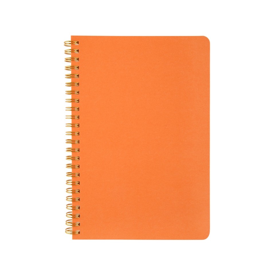 Бизнес тетрадь на гребне А5 "Pragmatic", 60 листов в клетку, оранжевый