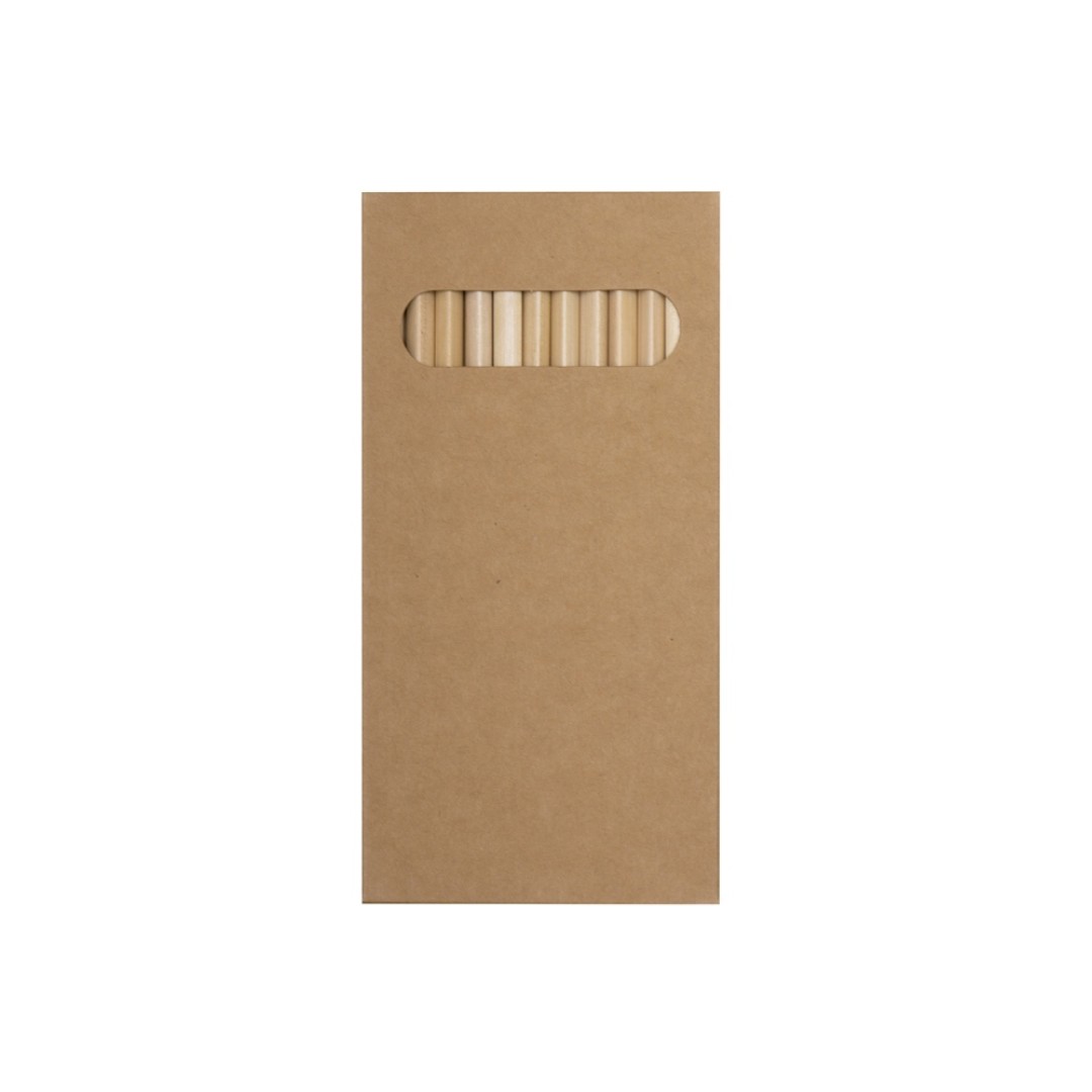 Набор из 12 цветных карандашей "Painter", крафт