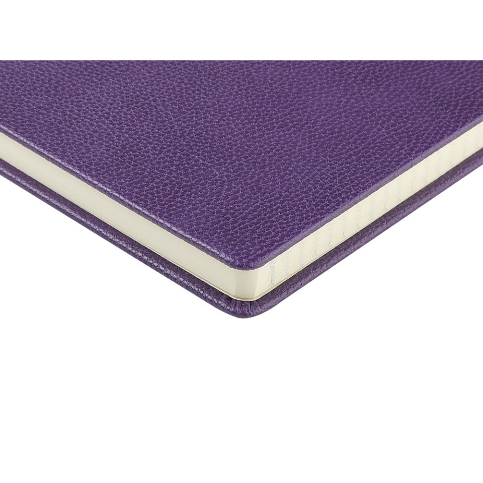 Ежедневник А5 датированный "Megapolis Loft" на 2026, фиолетовый