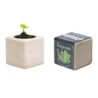 Набор для выращивания "Экокуб Classic "Базилик"