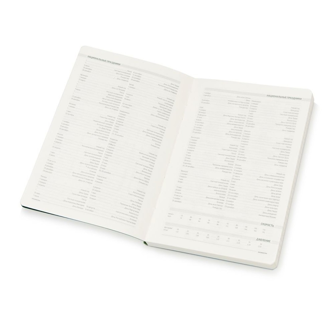 Ежедневник А5 недатированный «Megapolis Flex», салатовый (Р)