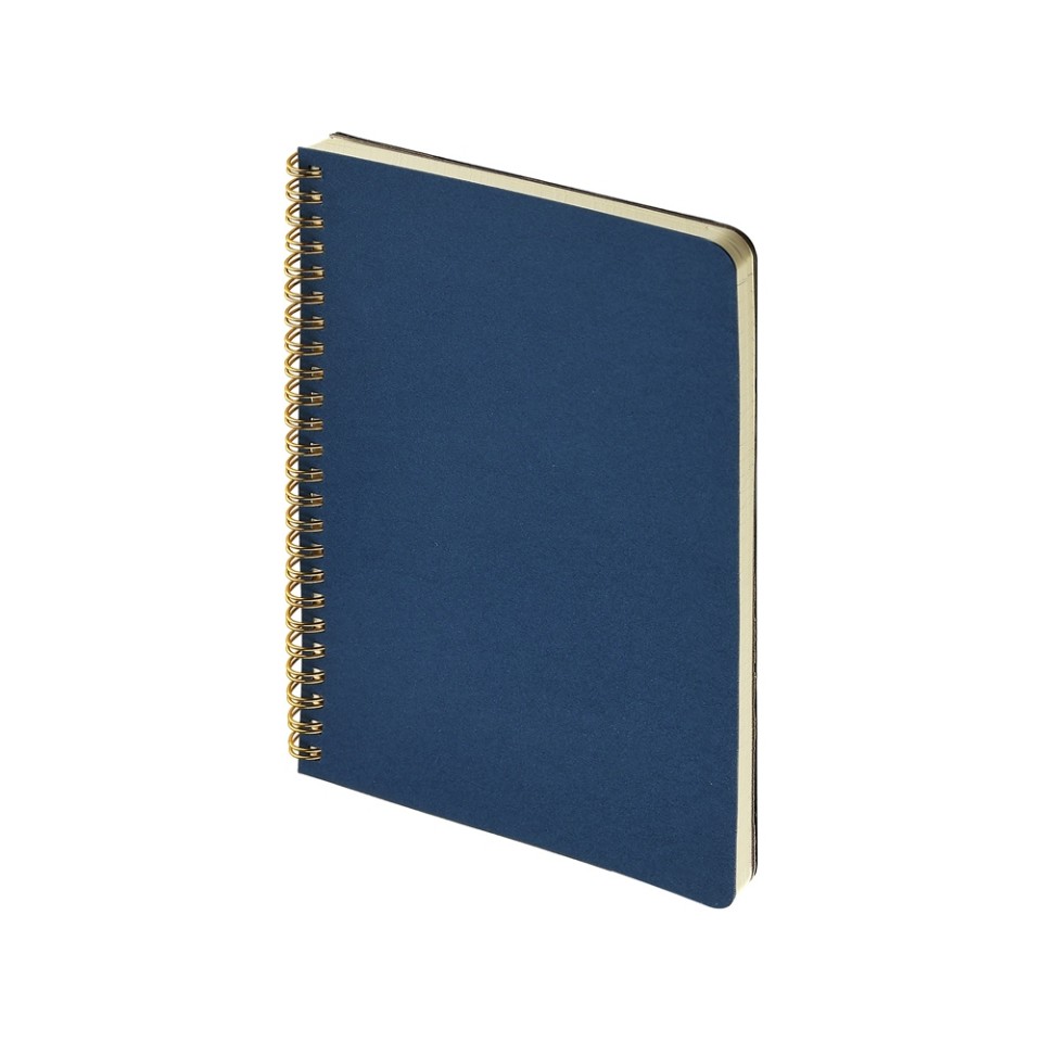 Бизнес тетрадь на гребне А5 "Pragmatic", 60 листов в клетку, темно-синий