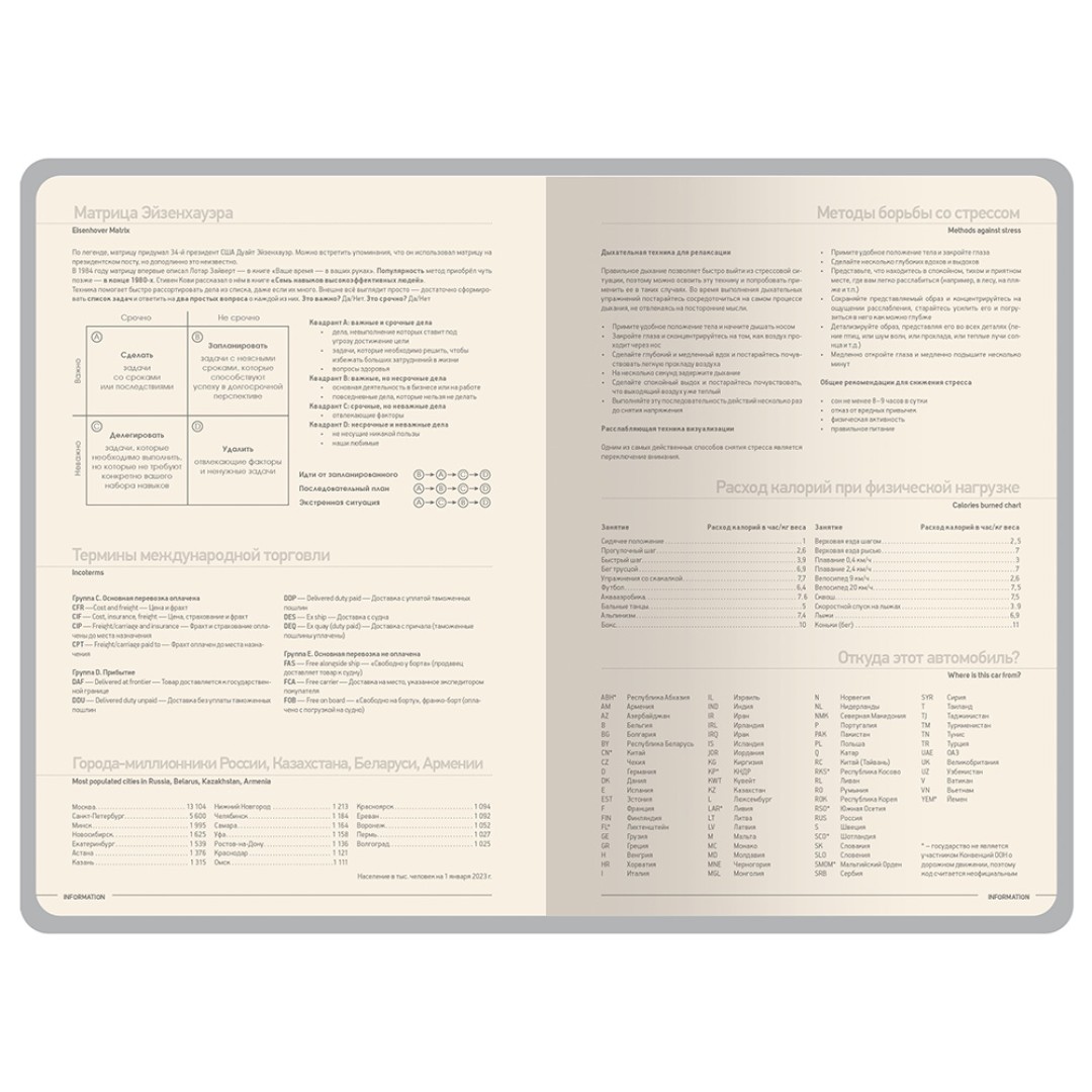 Ежедневник А5 датированный "Megapolis Color" 2026, черный