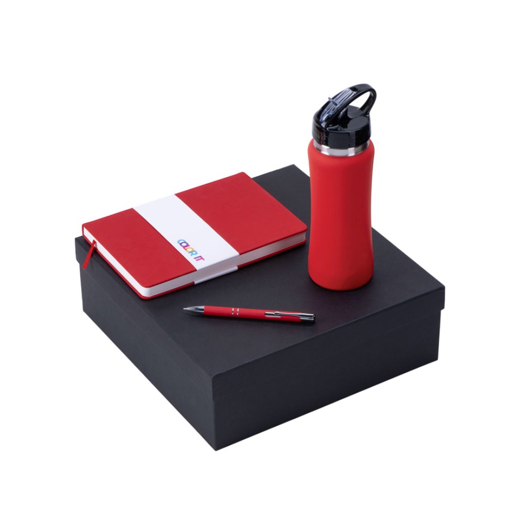 Подарочный набор с блокнотом С3, металлической ручкой и бутылкой для воды, красный