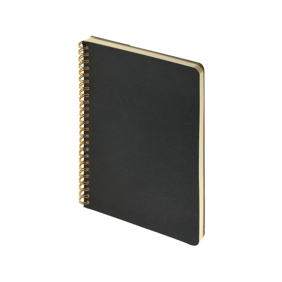 Бизнес тетрадь на гребне А5 "Pragmatic", 60 листов в клетку, черный