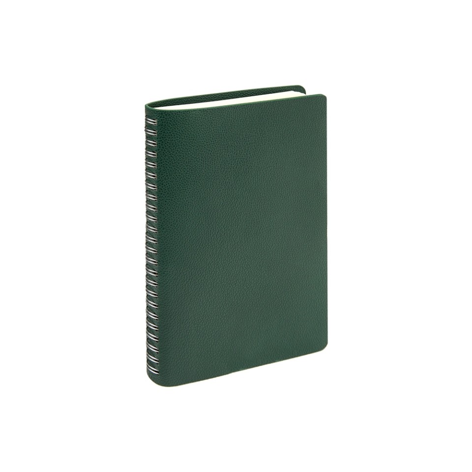 Ежедневник недатированный А5 "Alba", зеленый