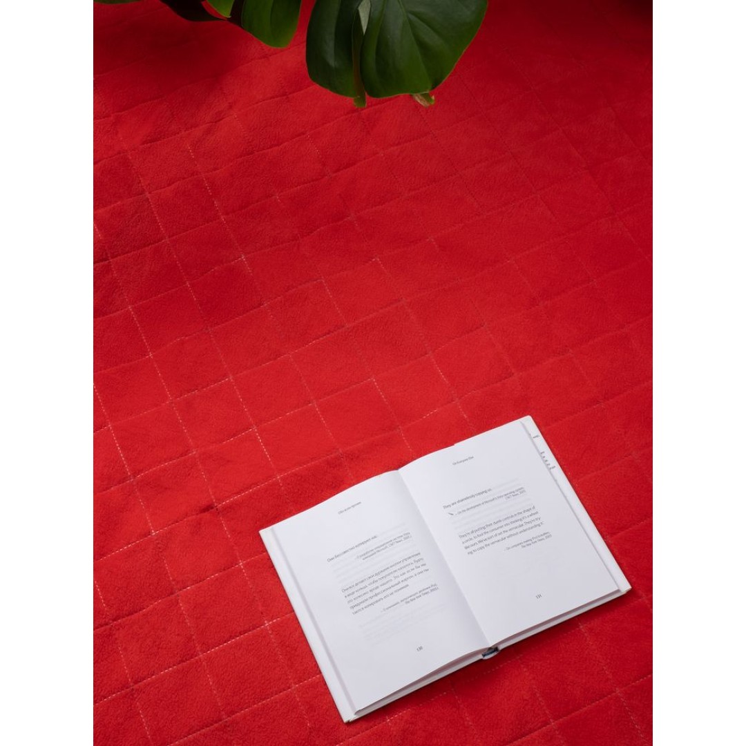 Плед для пикника Soft & Dry 2, красный